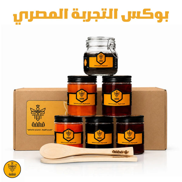 بوكس التجربة المصري